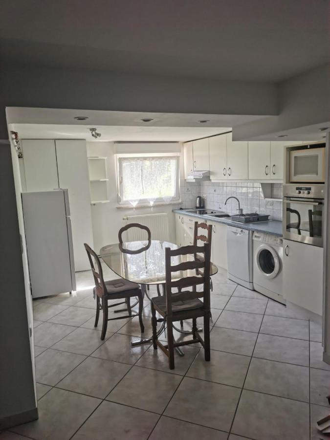 Chez Raphael Apartment Marckolsheim Bagian luar foto